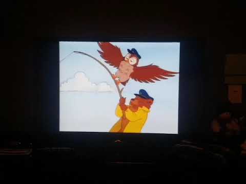 Little Bear Gone Fishing