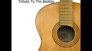 Acoustic Guitar Tribute Players - Uptown Girl.