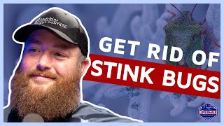 How To Get Rid Of Stink Bugs #clips