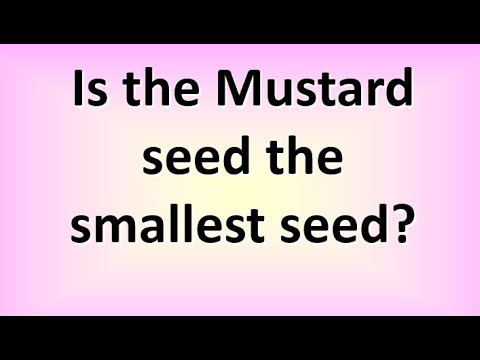 Is the mustard seed the smallest seed