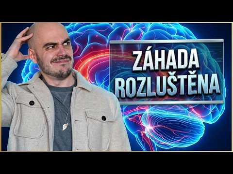 Meta postavila digitální mozek: AI předpovídá reakce lidského mozku lépe než skener