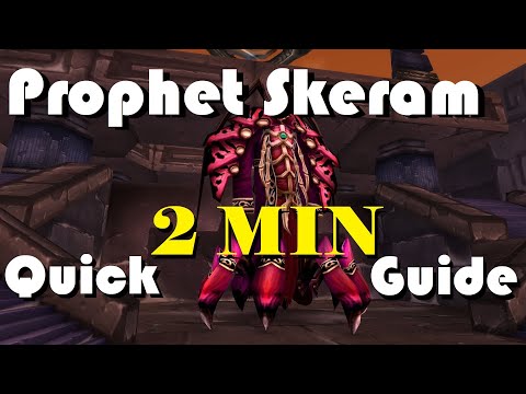 Prophet Skeram Quick Guide - STFU & Listen