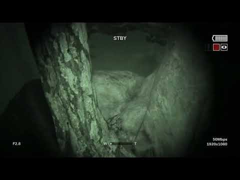 Outlast 2 Insane Difficulty   Full Game Speedrun   Step by Step Walkthrough & Commentary