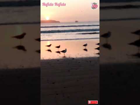 wonderful view and sound of waves from the beach of Essaouiraمنظر رائع وصوت الامواج من شاطئ الصويرة