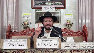 הרב מיכאל רביע | פרשת ואתחנן | מוסאיוף | תשפ"ה