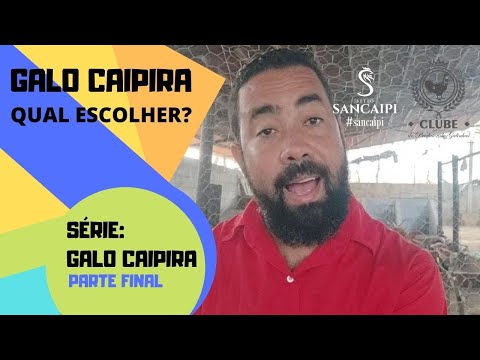 , title : 'GALO CAIPIRA | Qual o MELHOR para seu NEGÓCIO COM GALINHAS'