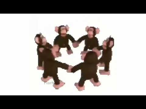 [10 HOURS] Happy Monkey Circle (meme)