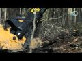 Swamp Loggers Waterlogged Nightmare Sink Or Swim