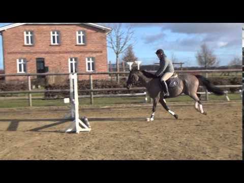 N.N. v. Cormint - Caretino, *12, Springen