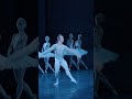 The Magic Of Swan Lake At La Scala Shorts Ballet