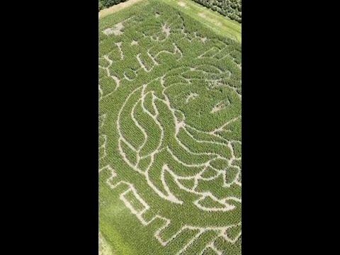 Dolly Parton-themed corn maze honors singer after her death