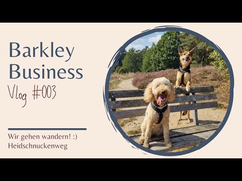 Wir gehen wandern! Heidschnuckenweg Etappe | Wandern durch die Lüneburger Heide