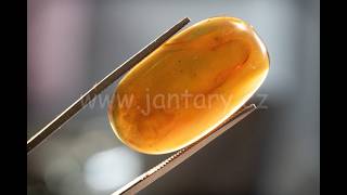 Druhohorní jantar z Myanmaru BJ-20