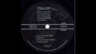 FINAL CUT - I TOLD YOU NOT TO STOP (1989)