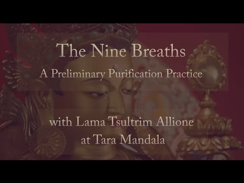 Can Breathing Techniques Clear Your Mind? The Nine Breaths Purification Practice
