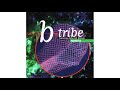 B-Tribe feat. Deborah Blando - Nanita (A Spanish ...