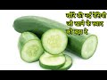 Spicy Cucumber Side Dish Cucumber Salad Cucumber Kimchi Cook With Ranu
