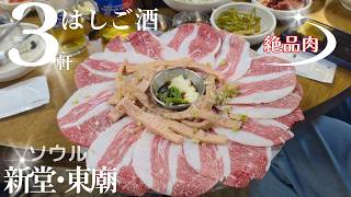ソウル東大門エリア飲み歩き♡ここのデジカルビ最高【在韓20年】