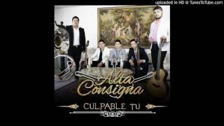 Los Ninis ( Alta Consigna ) En Estudio