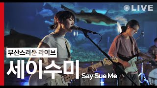 [Playlist🎧] 부산스러운 라이브 | 세이수미 (Say Sue Me) - The Last Thing Left @ 부산아쿠아리움 (4K) LIVE