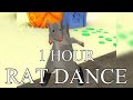 RAT DANCE 1 HOUR