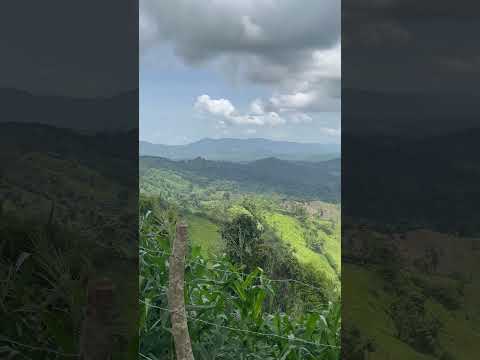 Imponente ceiba y hermoso paisaje los Amates Izabal