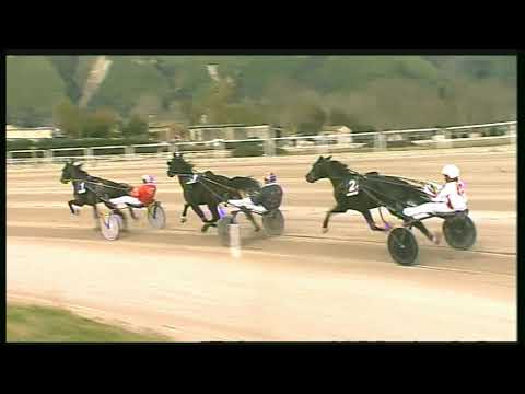 Trotto 28/01/2020 - 3ª corsa