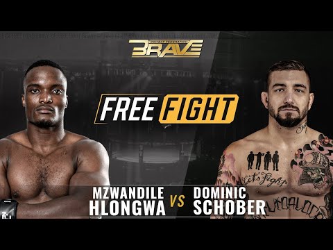 Mzwandile Hlongwa vs Dominic Schober full fight