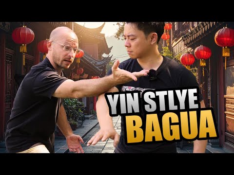 This Bagua System HITS Different!