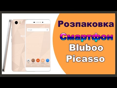 Смартфон Bluboo Picasso / Куртка на ваті - посилки з Китаю