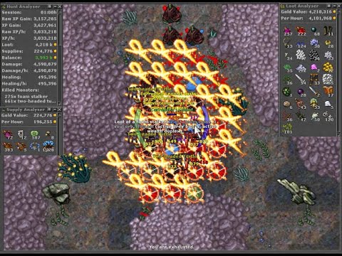 Tibia Hunt Coral Reef 4kk profit/hr, Two Headed Turtle, loot preys & wealth duplex, Rapid Respawn