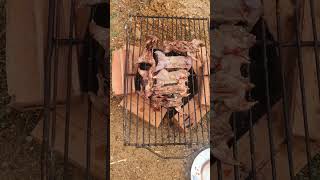 #កណ្ដុរស្រែអាំង