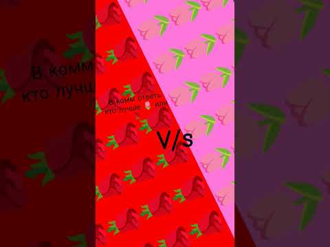 24 октября 2025 г.