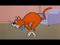 Cousin Tex Mr Jinks Toe Walk