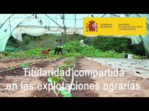 Fotograma del vídeo: Titularidad compartida en las explotaciones agrarias