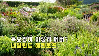 꽃 덕후들의 천국! 네덜란드에서 가장 아름다운 육묘장 산책_헤센호프