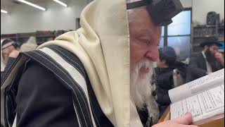 היום יום ט"ו טבת, הרב לייבל אלטיין שנת תשפ"ו