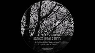 The Dish - Advanced Human & Trinity - (Headless Horseman Remix) [Counter Pulse]