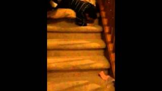 Slow-mo kid falling down the stairs