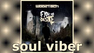 Woo2Tech - If You So Desire (Original Mix)