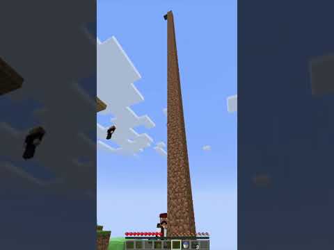 時間を止めて友達を助けた結果...#からぴち #マインクラフト