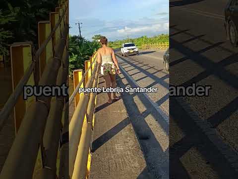 puente Lebrija Santander #campo