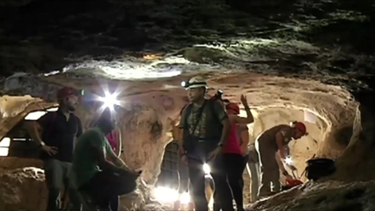 GLOBALink | Oldest human genome discovered from southern Spain