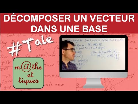 Decompose a vector in a basis (of the plane) - Terminale