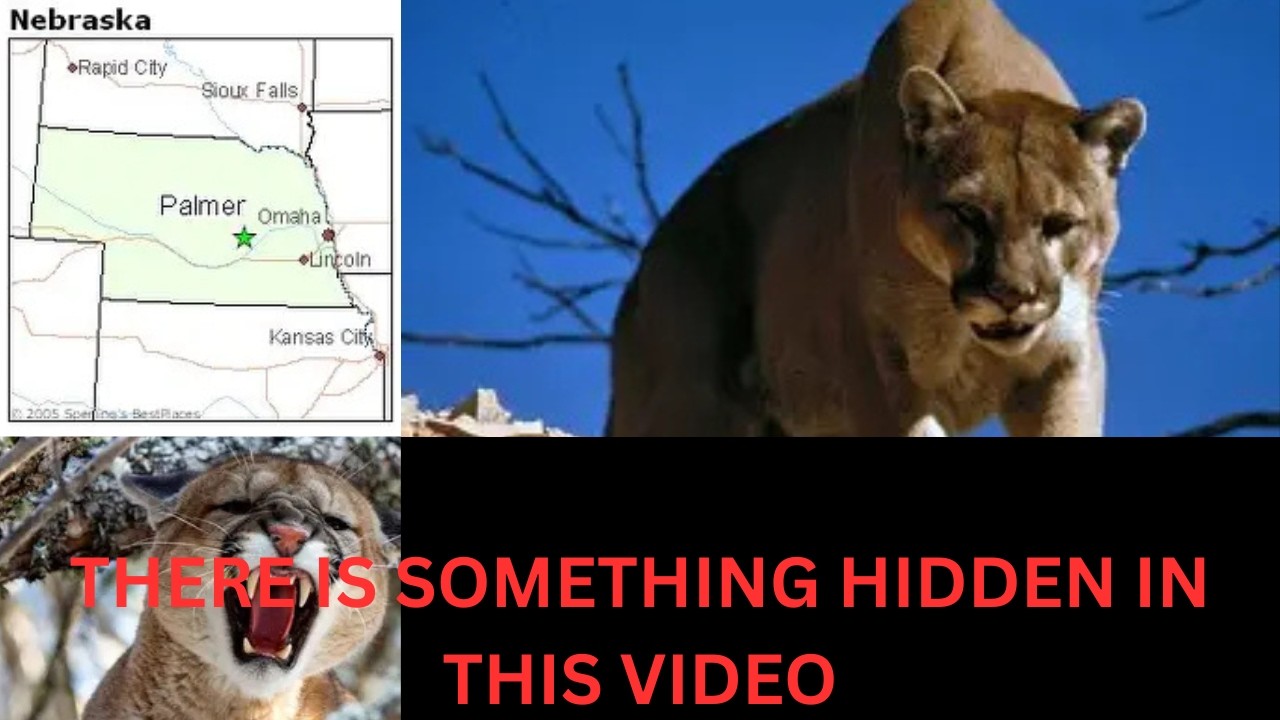 Three Sightings. Two Days. One Pattern… What’s Moving Through Nebraska?