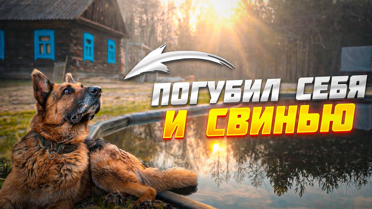 Шокирующая история нападения и наказание для рецидивиста.Уехали реставриро