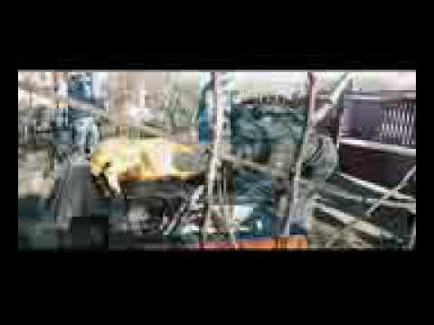 Catalin de la Balș și Mita de la Balș  Pomana porcului