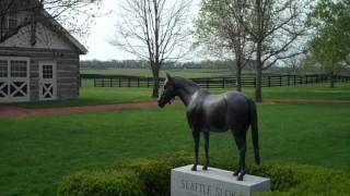 Thoroughbred Horse Farms in Lexington, KY