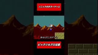 【閲覧注意】ソニックとテイルスに何があった【HEDGEHOG.exe】#ひとくち実況 #sonicexe #ホラーゲーム