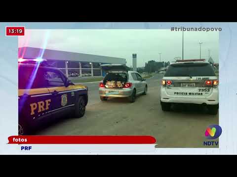 Homem é preso pela 3ª vez, neste ano, por contrabando de cigarro